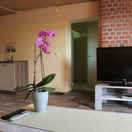 Ferienwohnung Im Gruenen Diesbar-Seusslitz Buitenkant foto